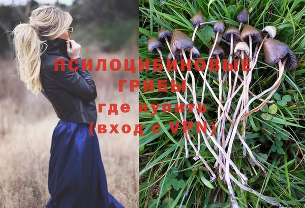 соль ск Алексин