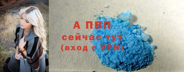 соль ск Алексин