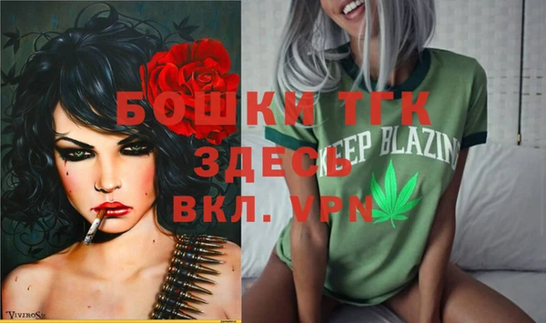 соль ск Алексин