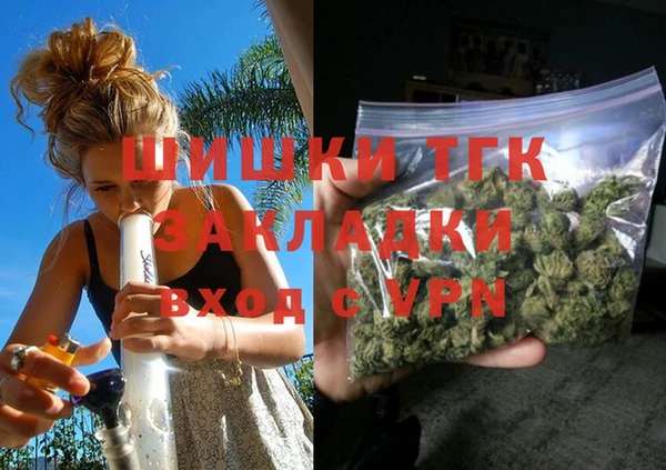 соль ск Алексин