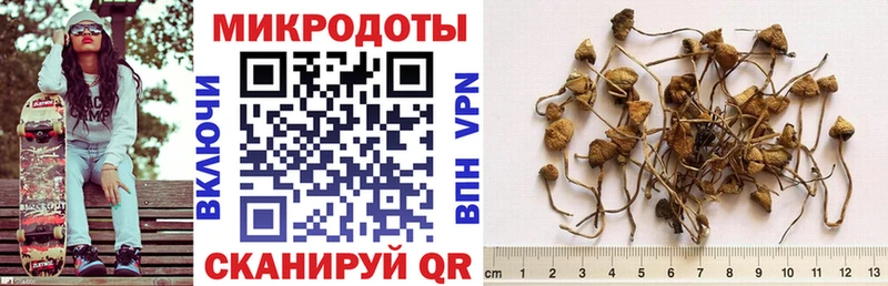 продажа наркотиков  Находка  Псилоцибиновые грибы прущие грибы 